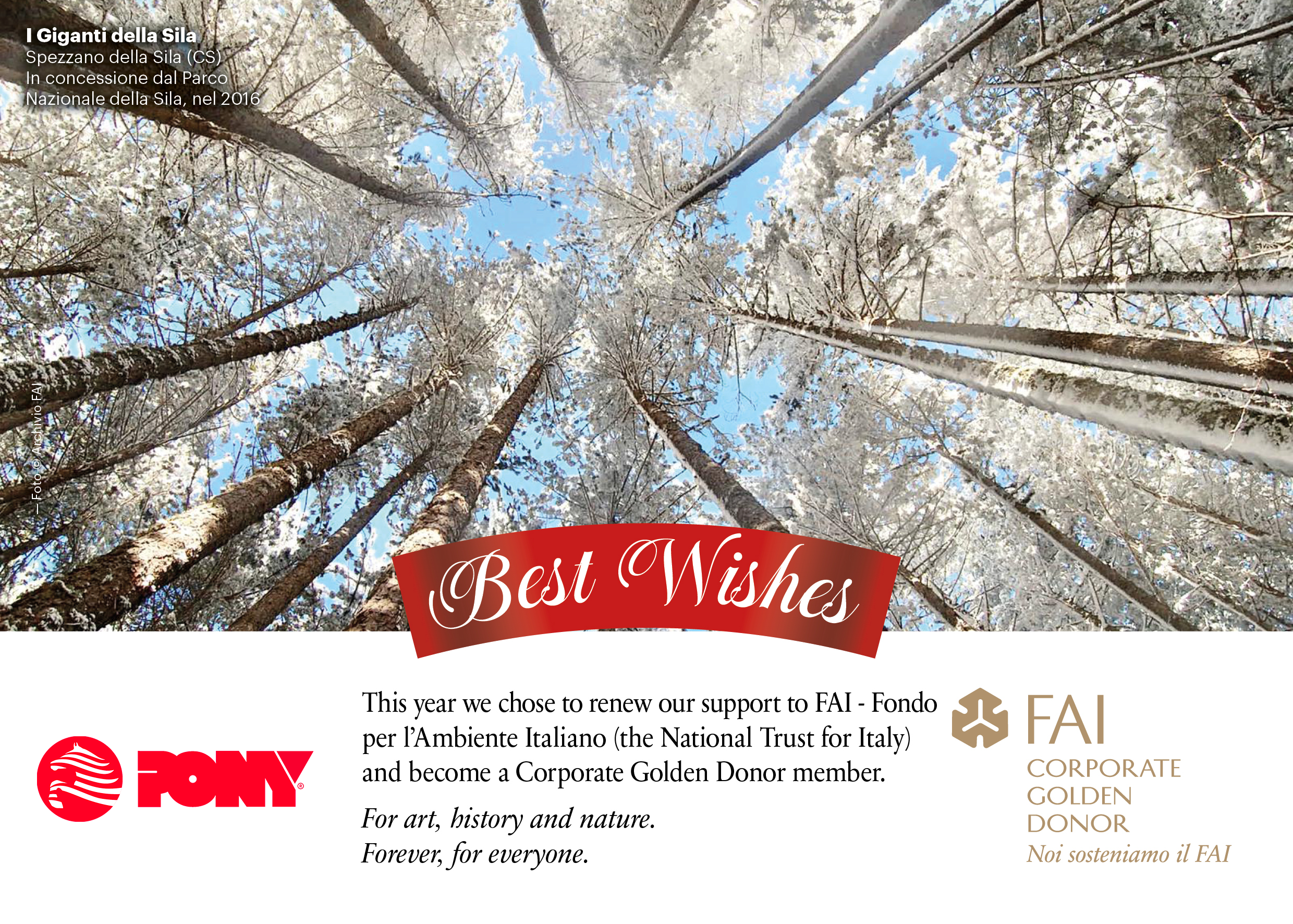 MERRY CHRISTMAS FROM PONY AND FAI, TOGETHER TO PRESERVE OUR TREASURES