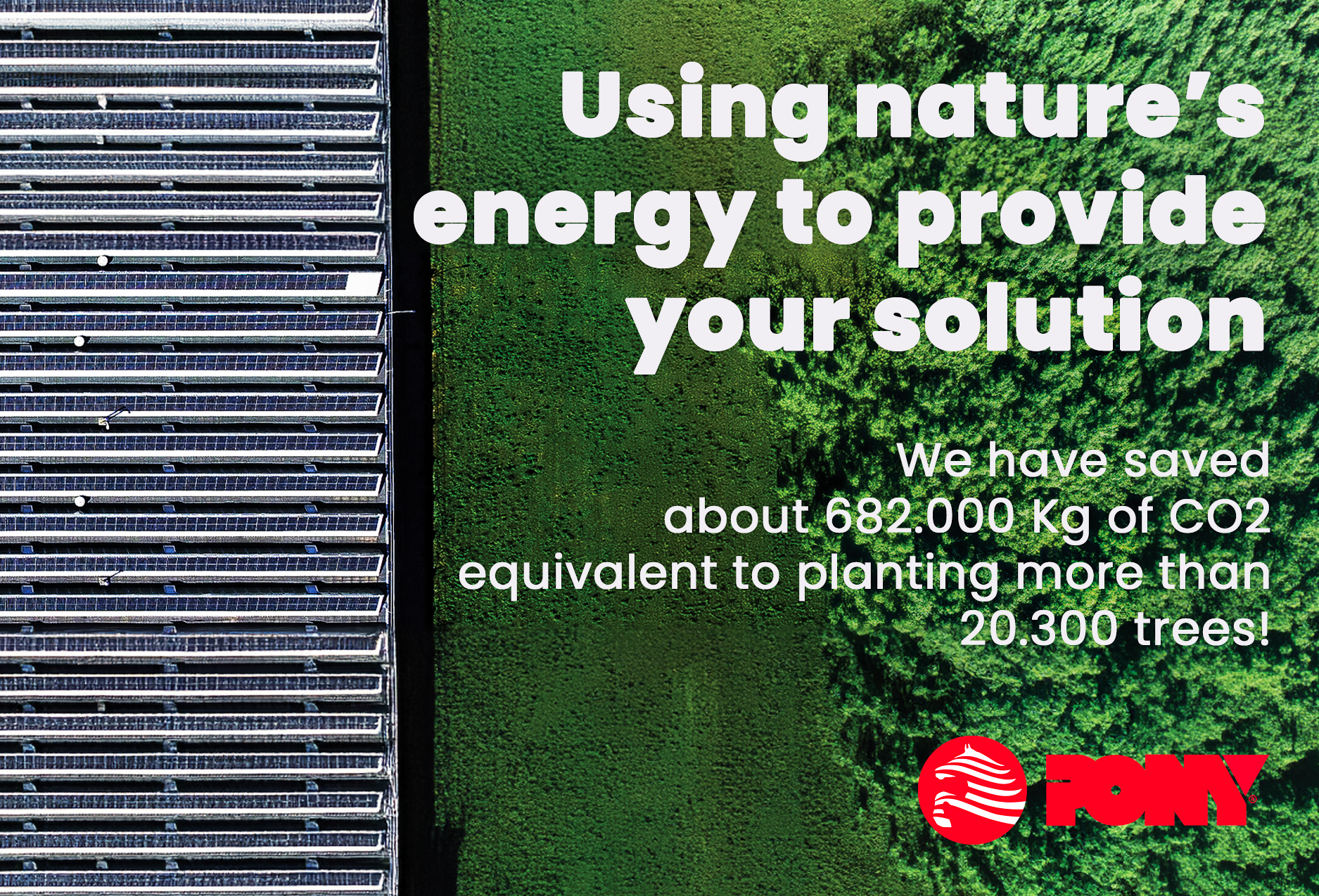 An Ever Greener Future: Reducing CO2 Emissions and Planting Change!